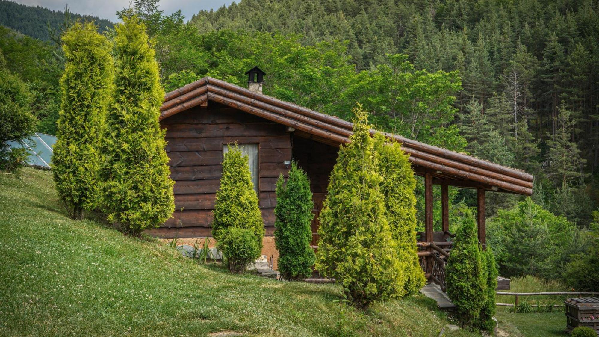Панорама хаус Лещен и еко къщи Дървена и Землянка Екстер'єр фото